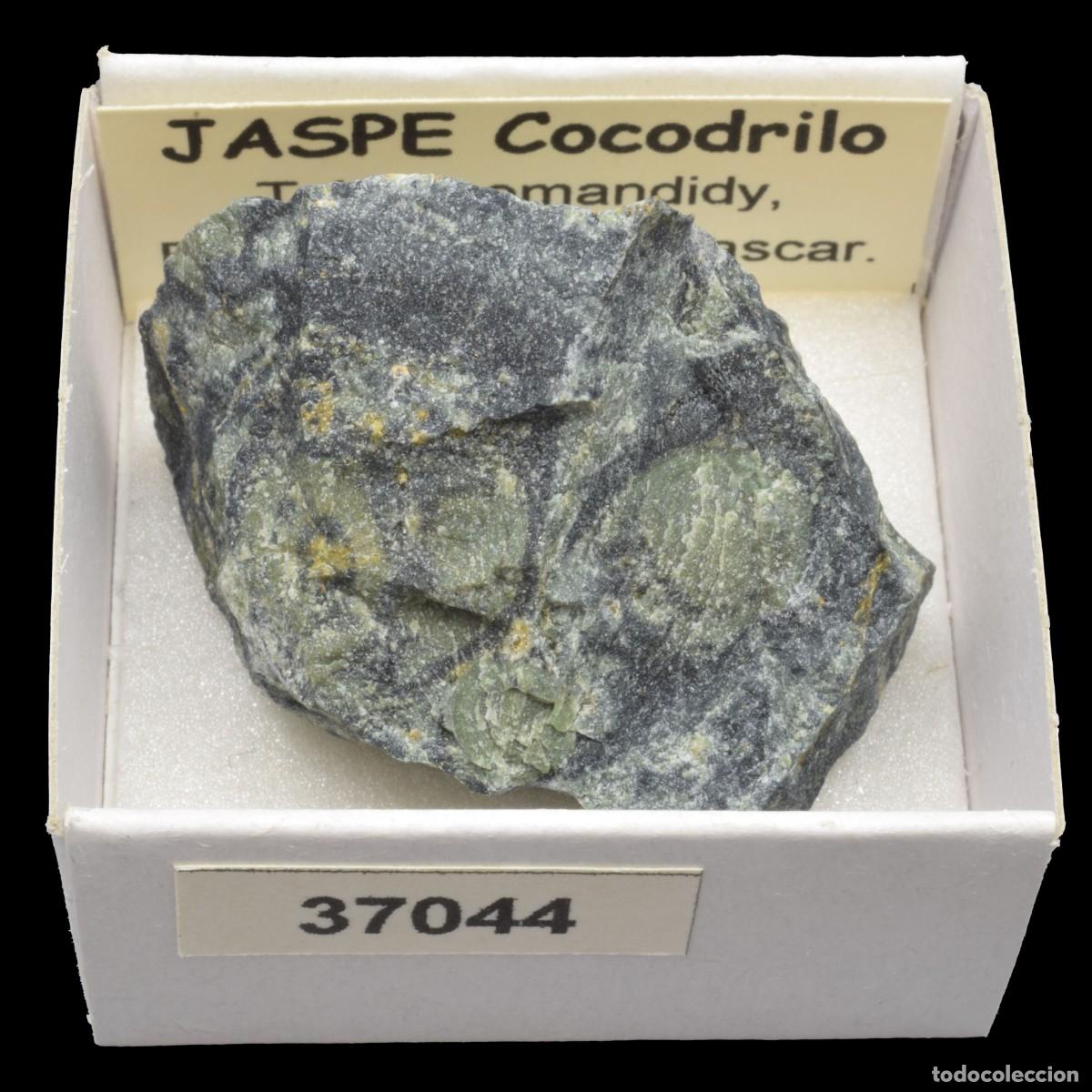 Coleccionismo de minerales: JASPE Cocodrilo (Tsiroanomandidy, Bongolava, Madagascar) #37044