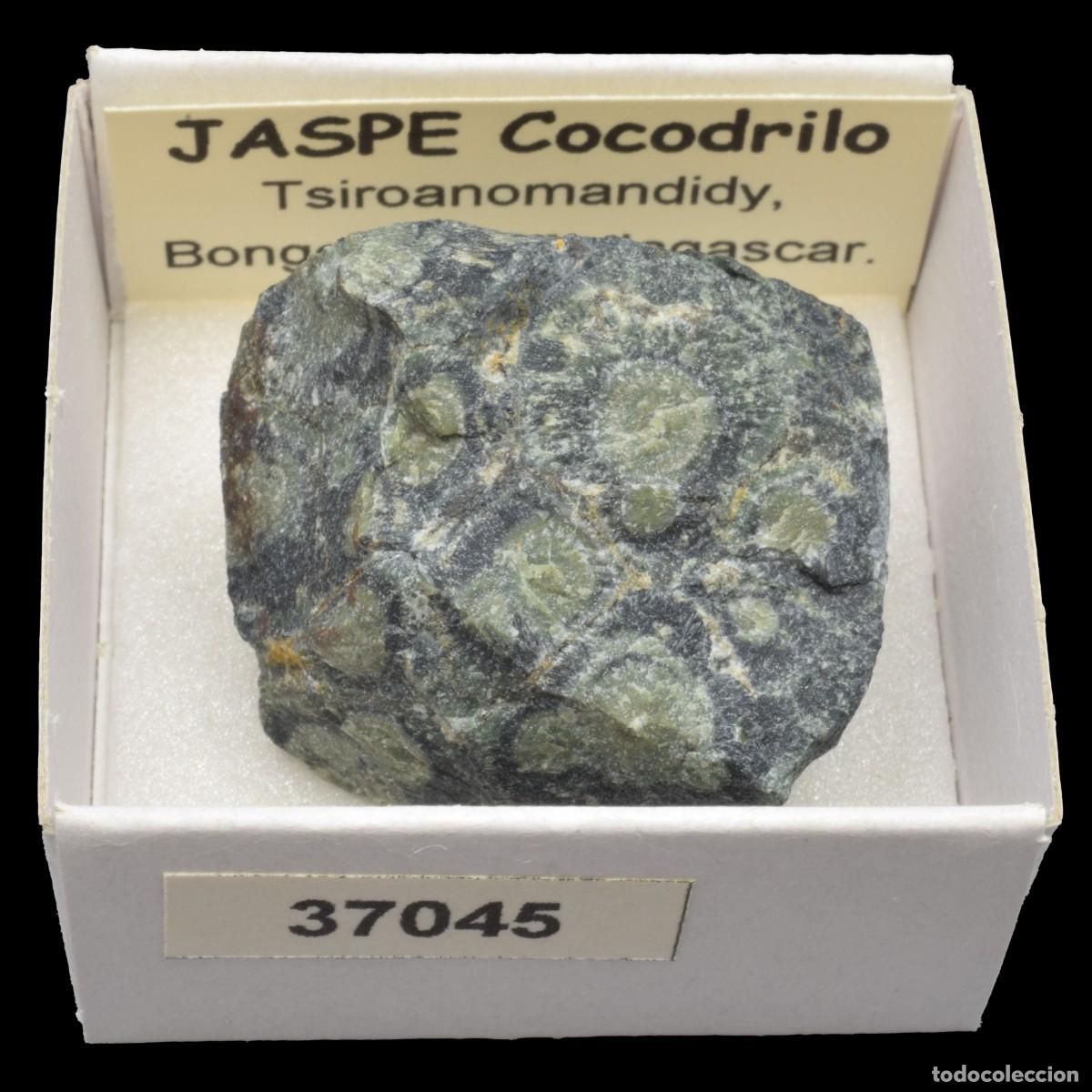 Coleccionismo de minerales: JASPE Cocodrilo (Tsiroanomandidy, Bongolava, Madagascar) #37045