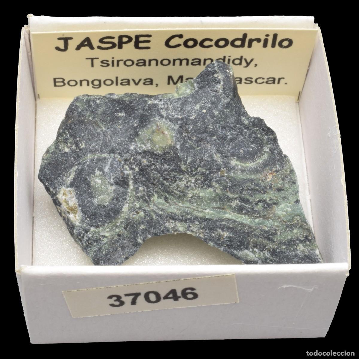 Coleccionismo de minerales: JASPE Cocodrilo (Tsiroanomandidy, Bongolava, Madagascar) #37046