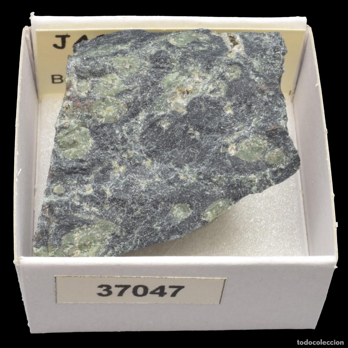 Coleccionismo de minerales: JASPE Cocodrilo (Tsiroanomandidy, Bongolava, Madagascar) #37047