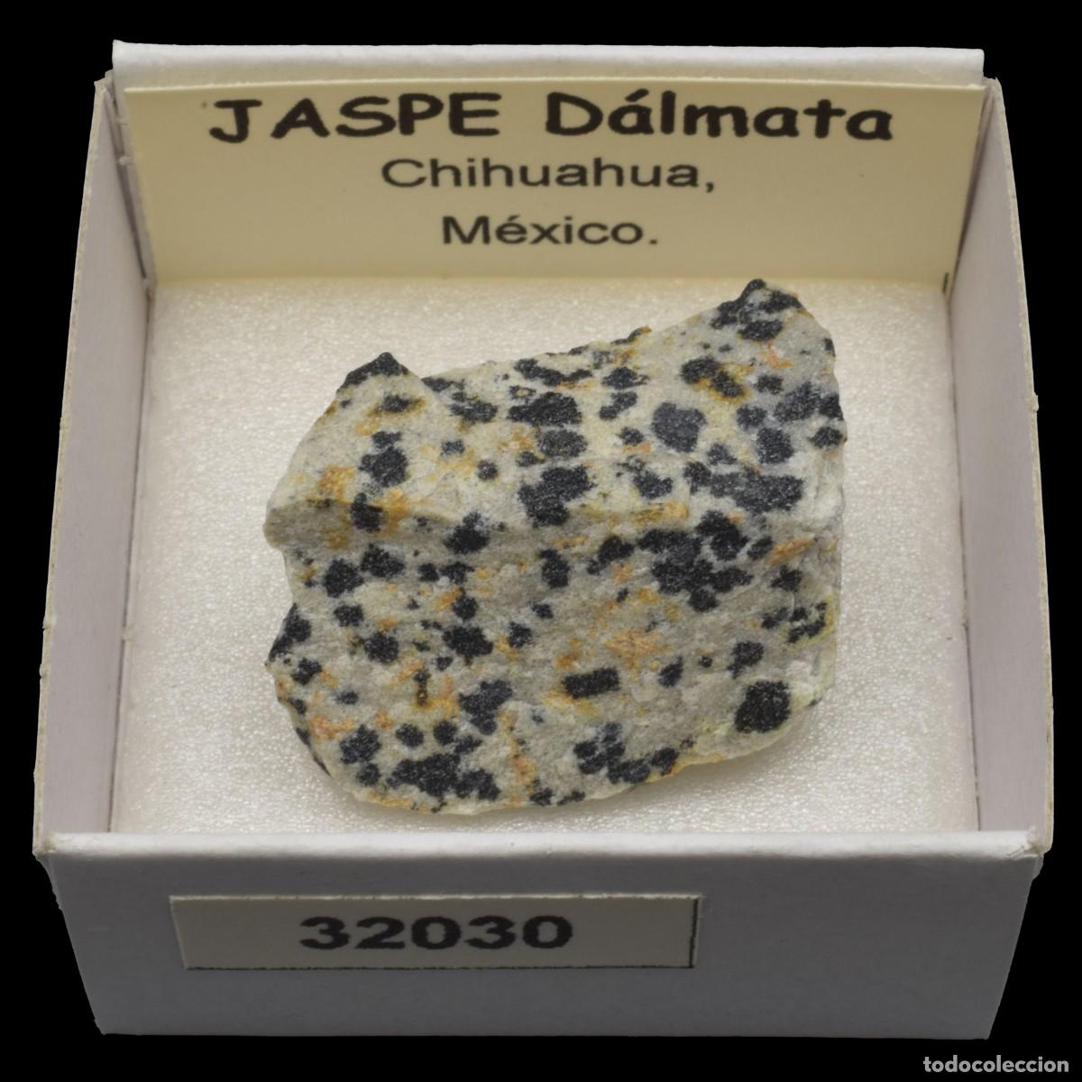 Coleccionismo de minerales: JASPE Dalmata (Chihuahua, Mexico) #32030