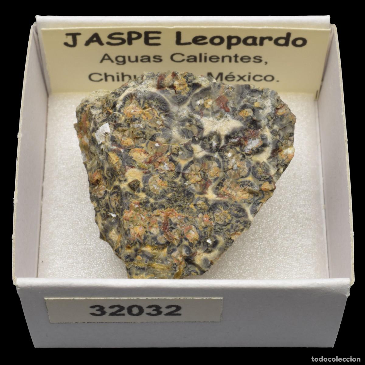Coleccionismo de minerales: JASPE Leopardo (Aguas Calientes, Chihuahua, Mexico) #32032