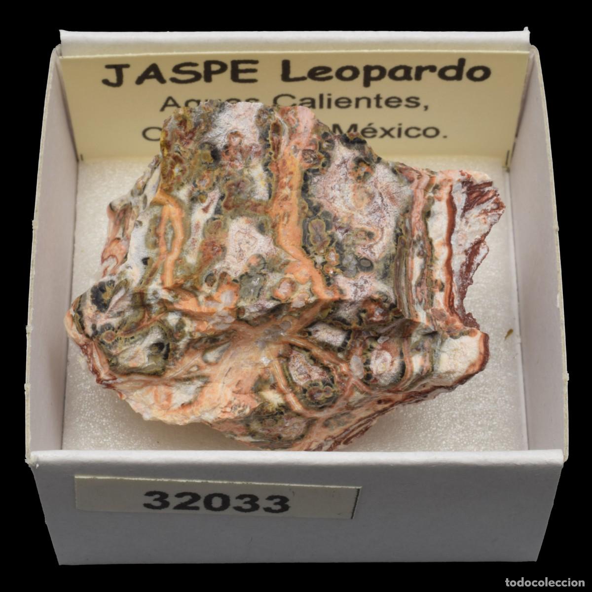 Coleccionismo de minerales: JASPE Leopardo (Aguas Calientes, Chihuahua, Mexico) #32033