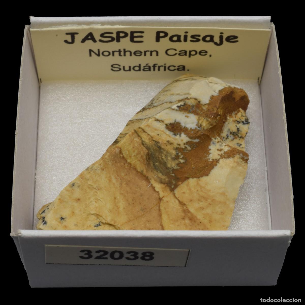 Coleccionismo de minerales: JASPE Paisaje (Northern Cape, Sudafrica) #32038