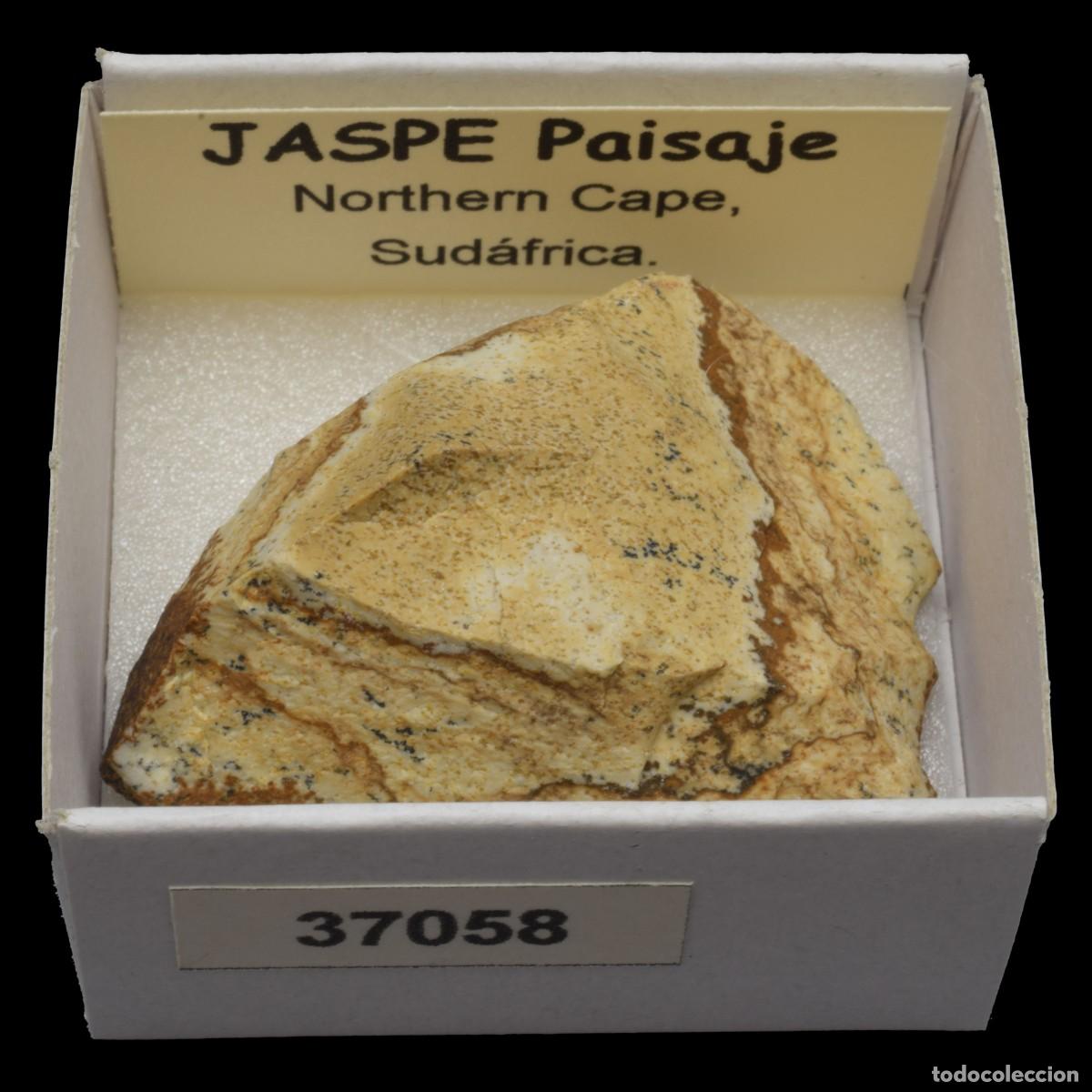 Coleccionismo de minerales: JASPE Paisaje (Northern Cape, Sudafrica) #37058