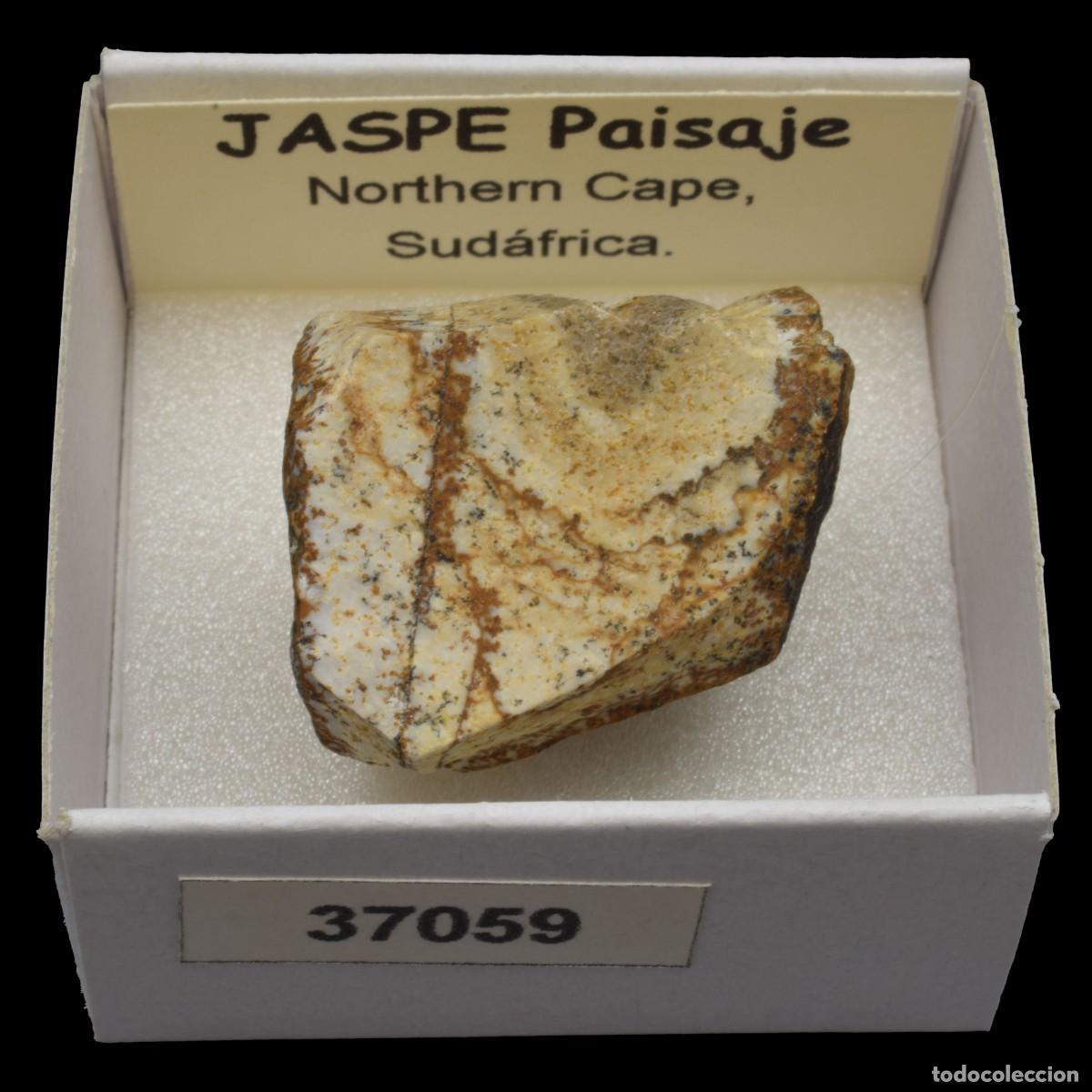 Coleccionismo de minerales: JASPE Paisaje (Northern Cape, Sudafrica) #37059
