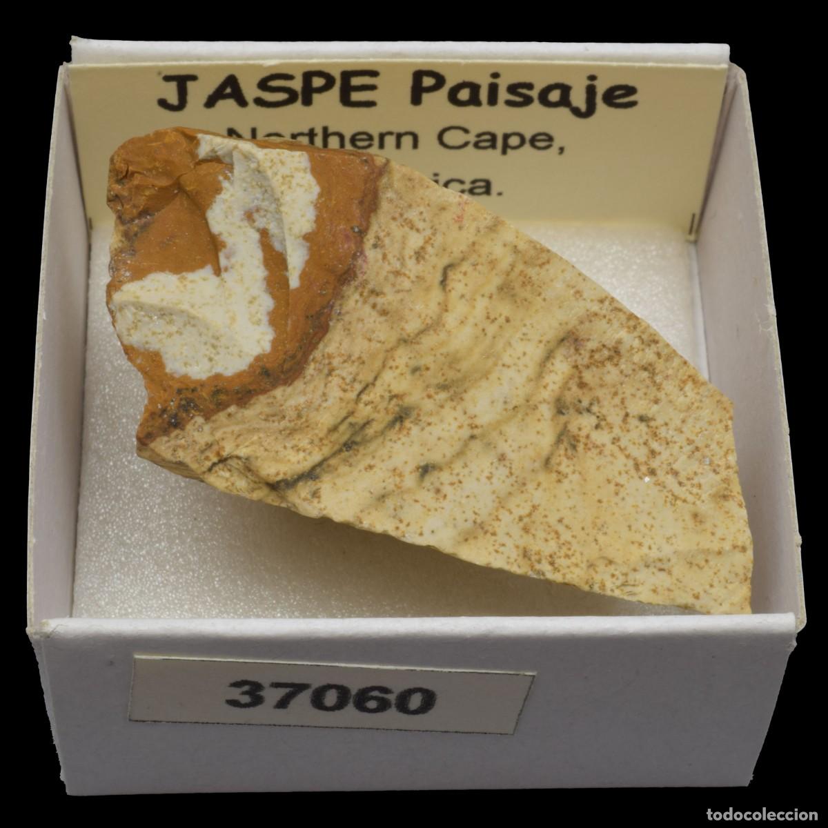 Coleccionismo de minerales: JASPE Paisaje (Northern Cape, Sudafrica) #37060