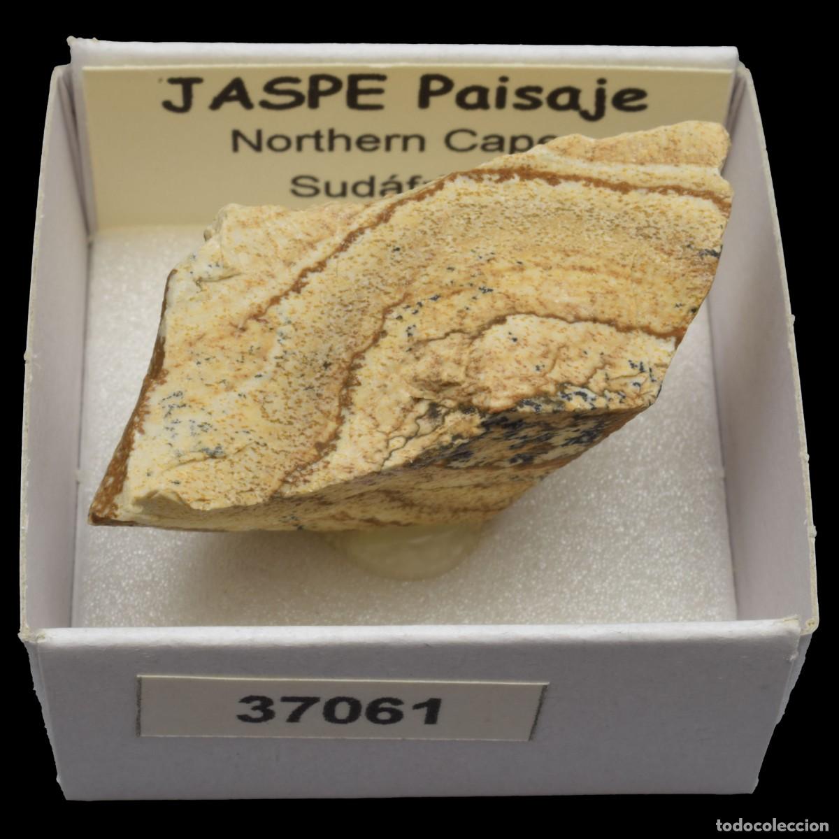 Coleccionismo de minerales: JASPE Paisaje (Northern Cape, Sudafrica) #37061