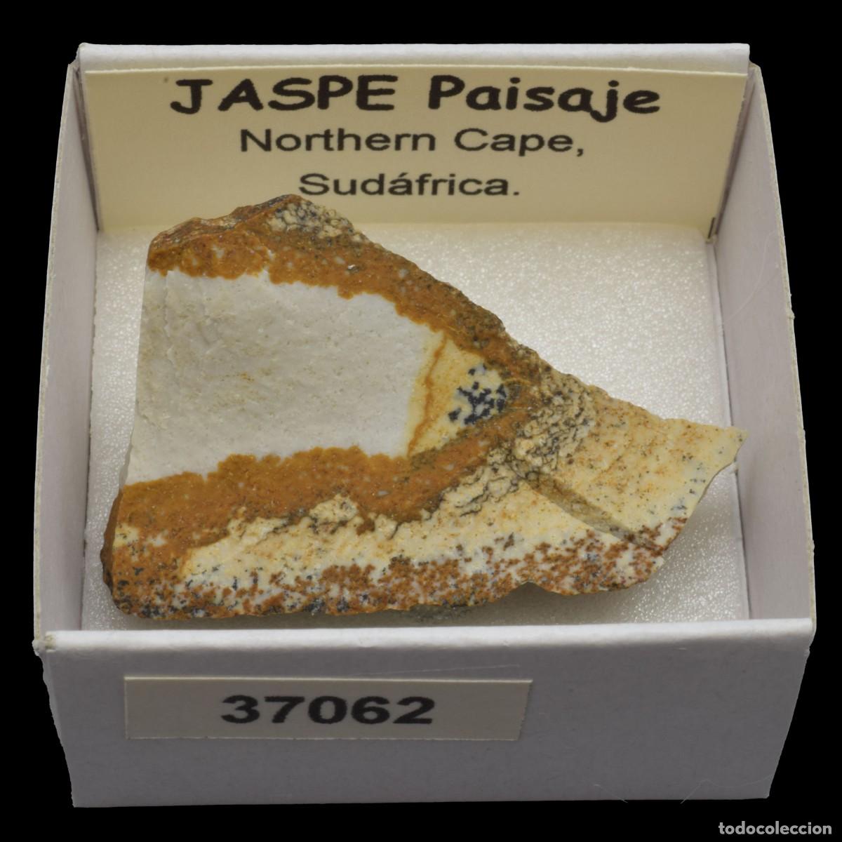 Coleccionismo de minerales: JASPE Paisaje (Northern Cape, Sudafrica) #37062