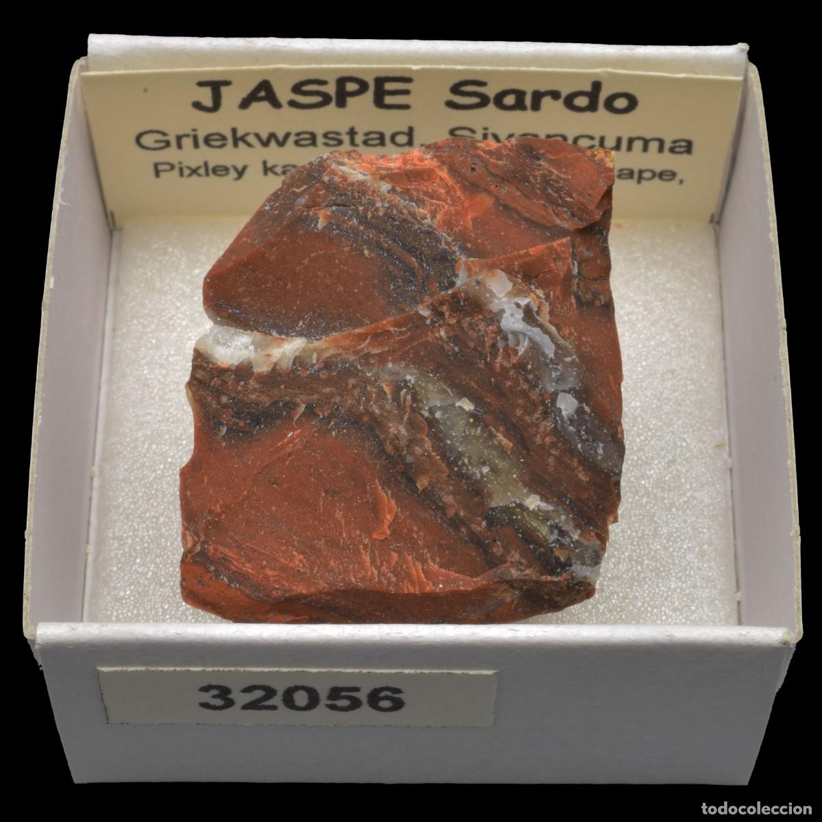 Coleccionismo de minerales: JASPE Sardo (Griekwastad, Siyancuma, Pixley ka Seme, Northern Cape, Sudafrica) #32056