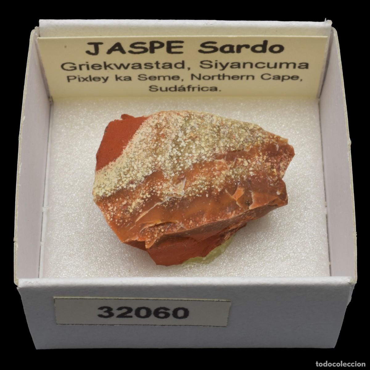Coleccionismo de minerales: JASPE Sardo (Griekwastad, Siyancuma, Pixley ka Seme, Northern Cape, Sudafrica) #32060