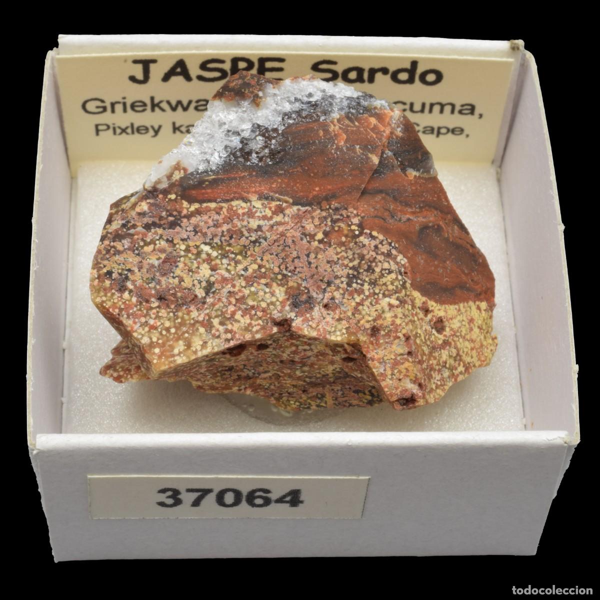 Coleccionismo de minerales: JASPE Sardo (Griekwastad, Siyancuma, Pixley ka Seme, Northern Cape, Sudafrica) #37064