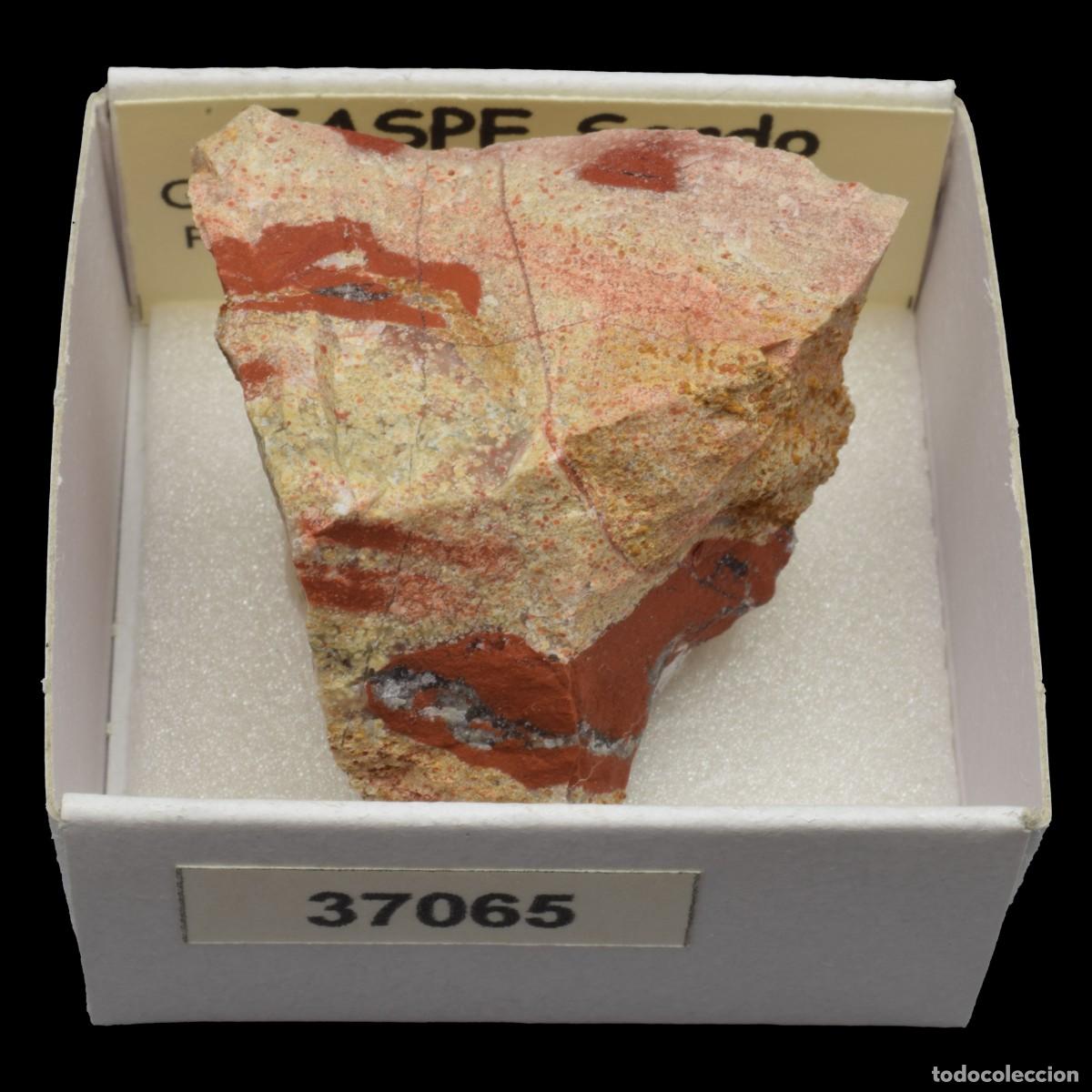 Coleccionismo de minerales: JASPE Sardo (Griekwastad, Siyancuma, Pixley ka Seme, Northern Cape, Sudafrica) #37065