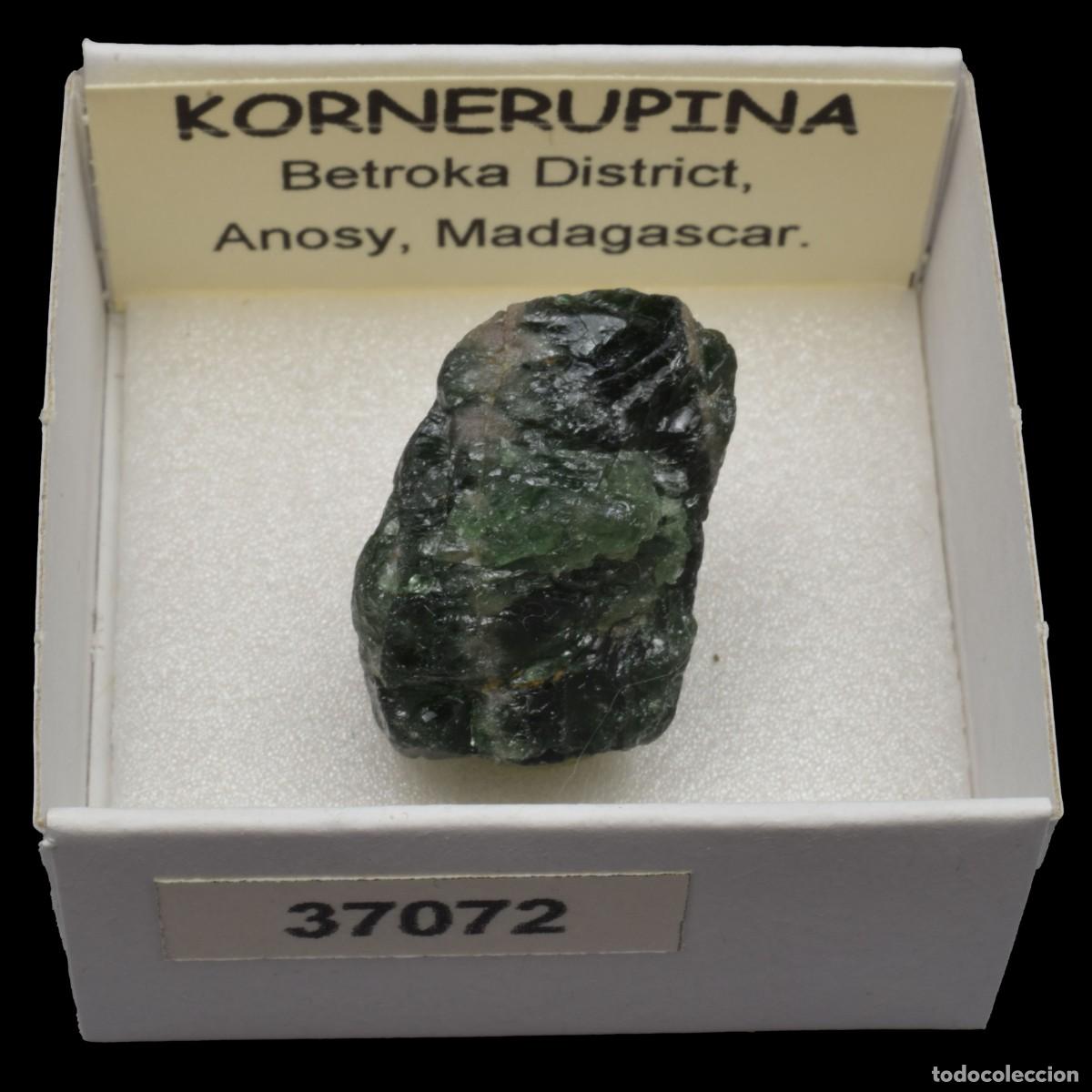 Coleccionismo de minerales: KORNERUPINA (Betroka district, Anosy, Madagascar) #37072