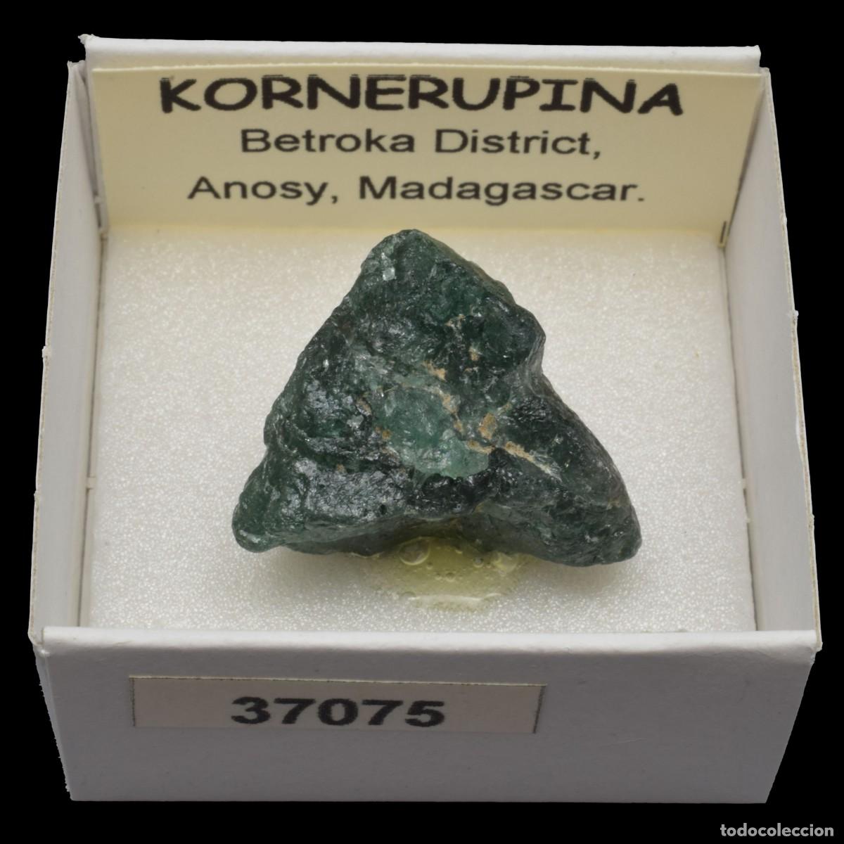 Coleccionismo de minerales: KORNERUPINA (Betroka district, Anosy, Madagascar) #37075