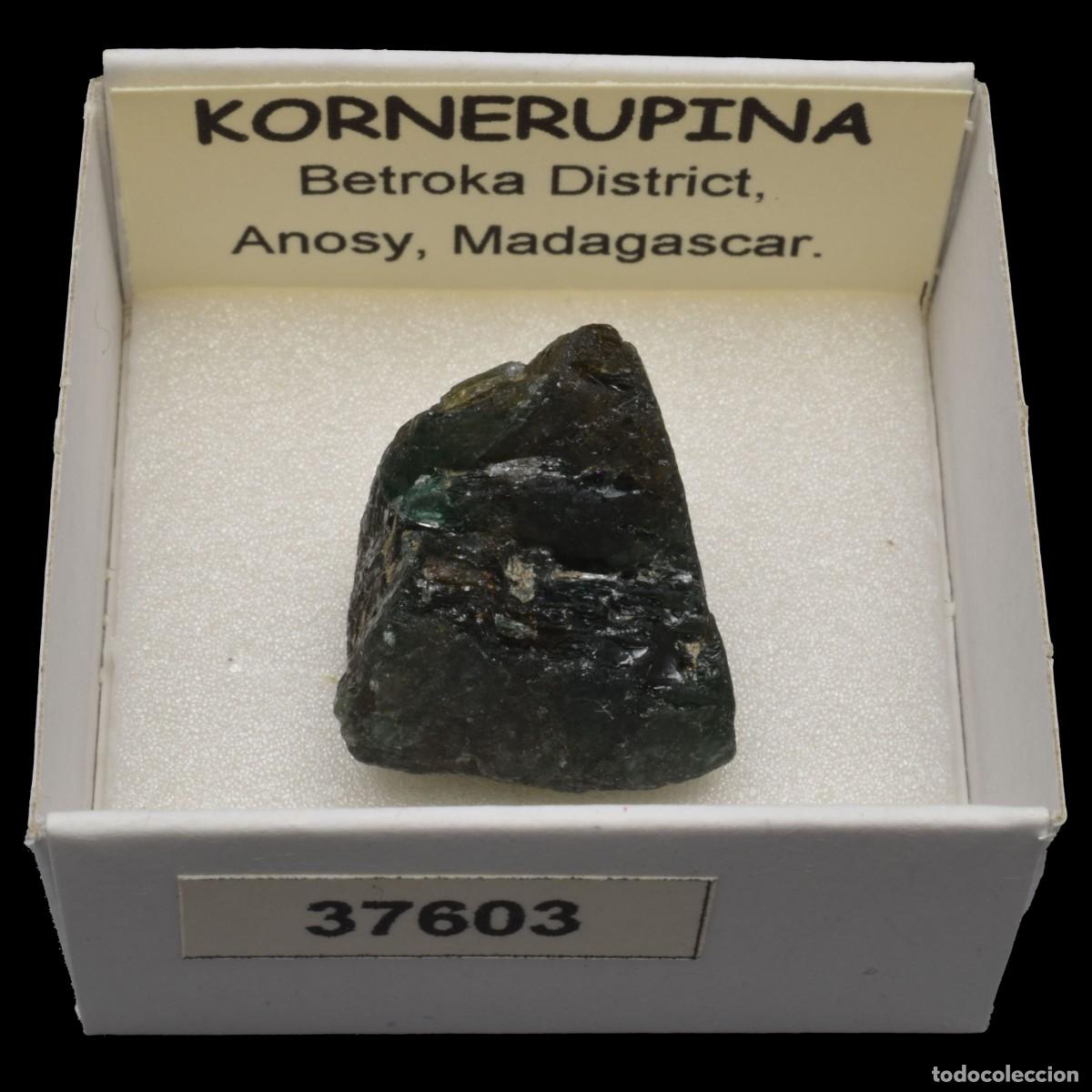 Coleccionismo de minerales: KORNERUPINA (Betroka district, Anosy, Madagascar) #37603