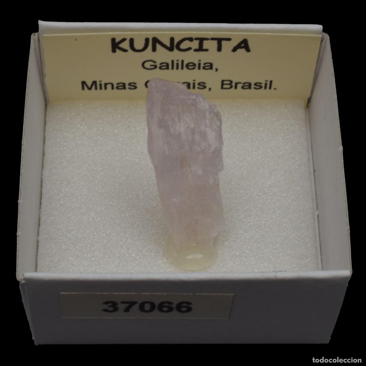Coleccionismo de minerales: KUNCITA (Galileia, Minas Gerais, Brasil) #37066