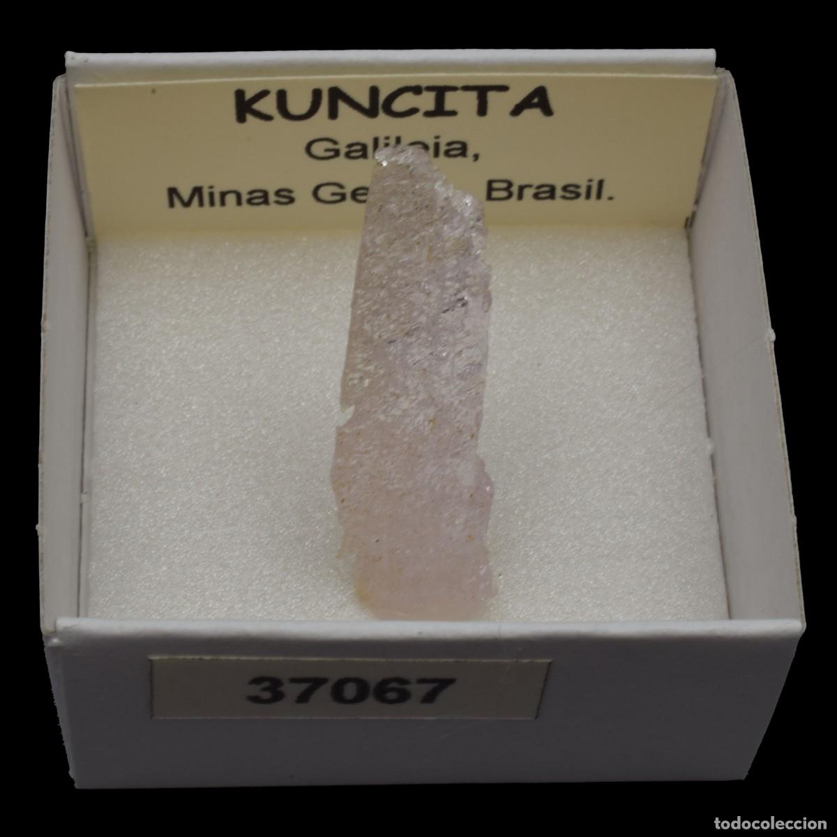 Coleccionismo de minerales: KUNCITA (Galileia, Minas Gerais, Brasil) #37067