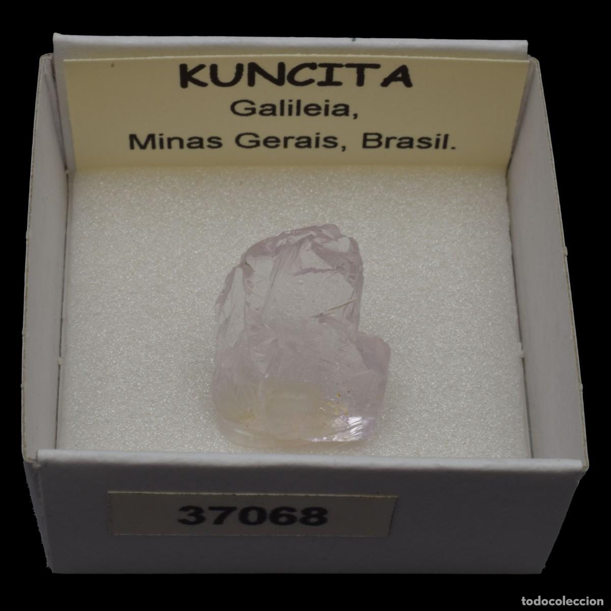 Coleccionismo de minerales: KUNCITA (Galileia, Minas Gerais, Brasil) #37068