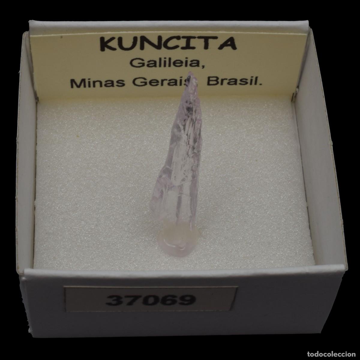 Coleccionismo de minerales: KUNCITA (Galileia, Minas Gerais, Brasil) #37069