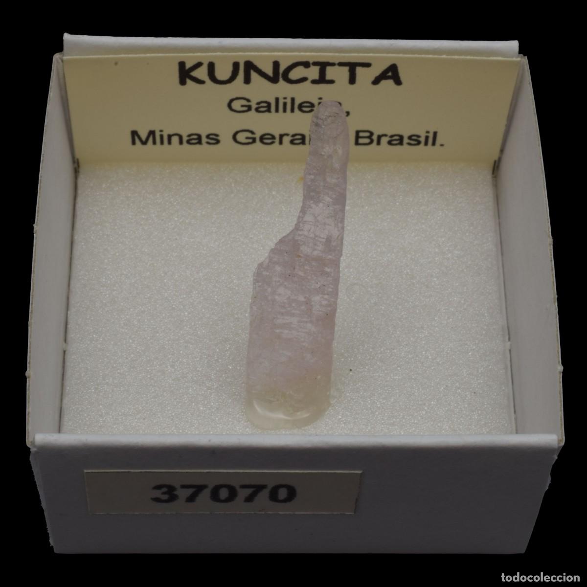 Coleccionismo de minerales: KUNCITA (Galileia, Minas Gerais, Brasil) #37070