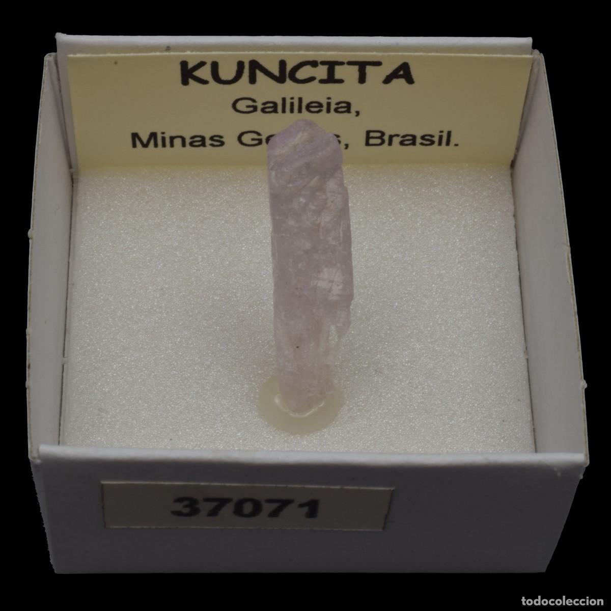 Coleccionismo de minerales: KUNCITA (Galileia, Minas Gerais, Brasil) #37071