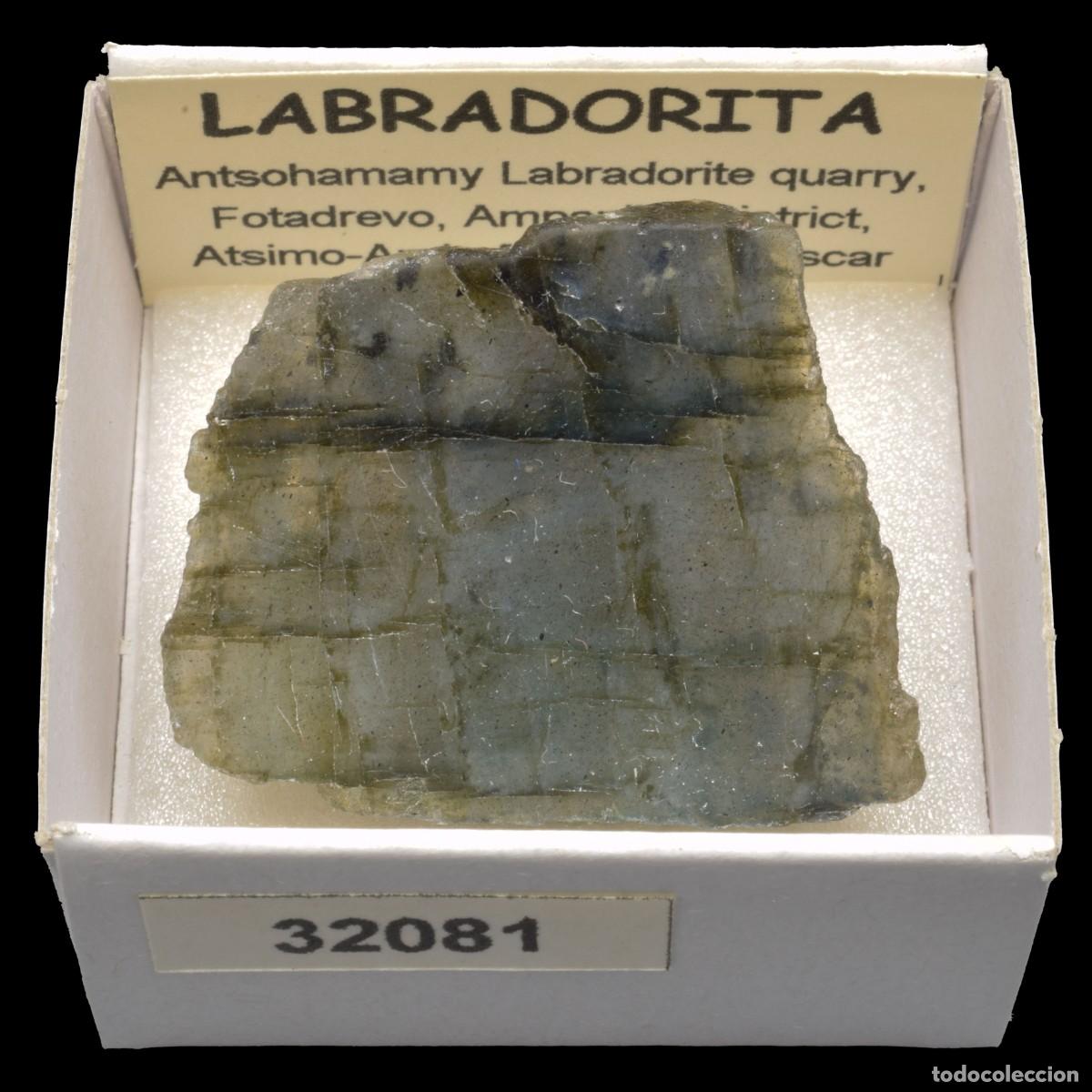 Coleccionismo de minerales: LABRADORITA Pulida (Antsohamamy Labradorite quarry, Fotadrevo, Ampanihy Dist, Madagascar) #32081