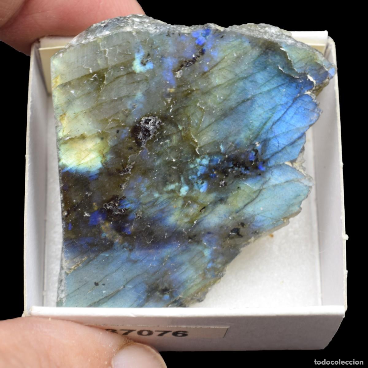Coleccionismo de minerales: LABRADORITA Pulida (Antsohamamy Labradorite quarry, Fotadrevo, Ampanihy Dist, Madagascar) #37076