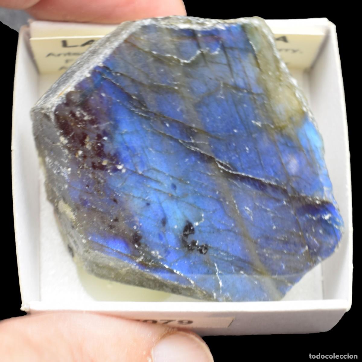 Coleccionismo de minerales: LABRADORITA Pulida (Antsohamamy Labradorite quarry, Fotadrevo, Ampanihy Dist, Madagascar) #37079