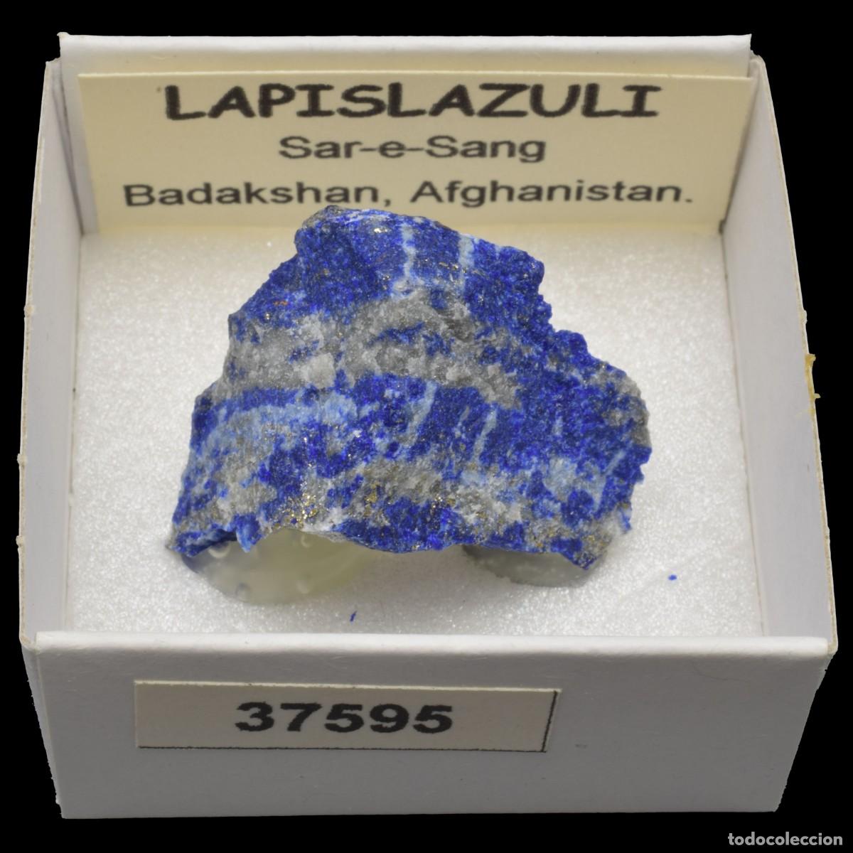 Coleccionismo de minerales: LAPISLAZULI (Sar-e-Sang, Badakshan, Afghanistan) #37595