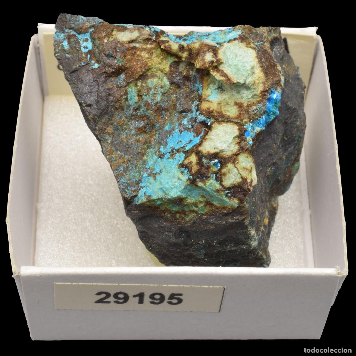 Coleccionismo de minerales: LAVENDULANA (Concesion La Reconquistada, Pastrana, Mazarron, Murcia, Espa&ntilde;a) #29195