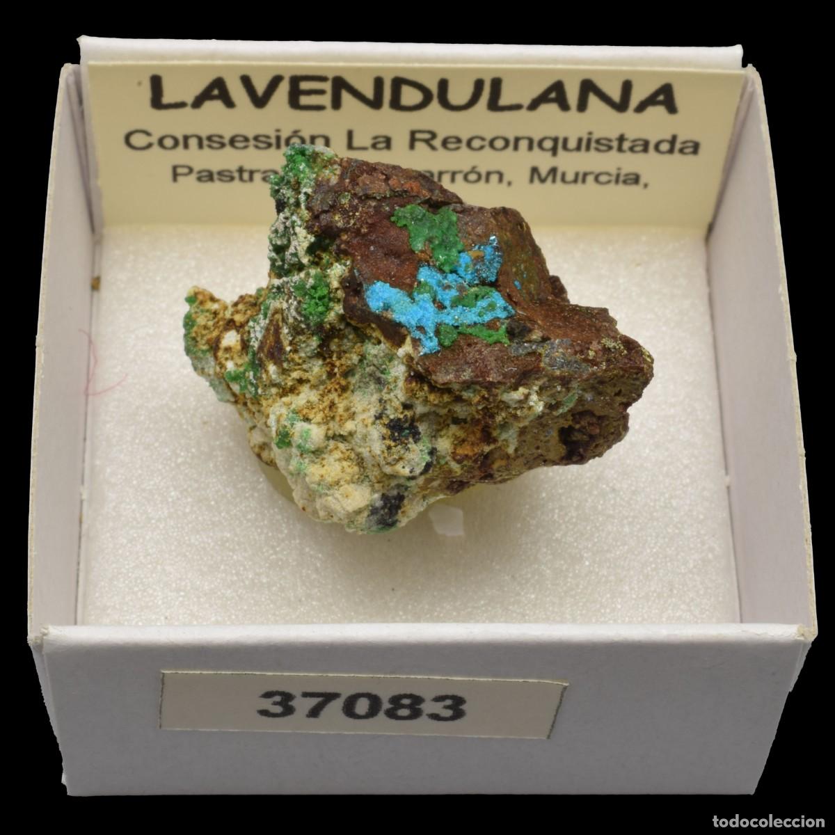 Coleccionismo de minerales: LAVENDULANA (Concesion La Reconquistada, Pastrana, Mazarron, Murcia, Espa&ntilde;a) #37083