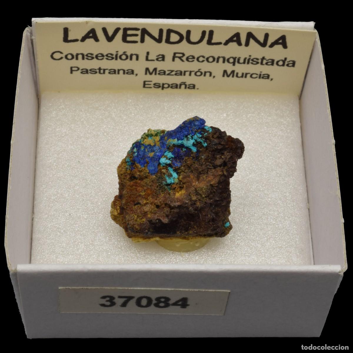 Coleccionismo de minerales: LAVENDULANA (Concesion La Reconquistada, Pastrana, Mazarron, Murcia, Espa&ntilde;a) #37084