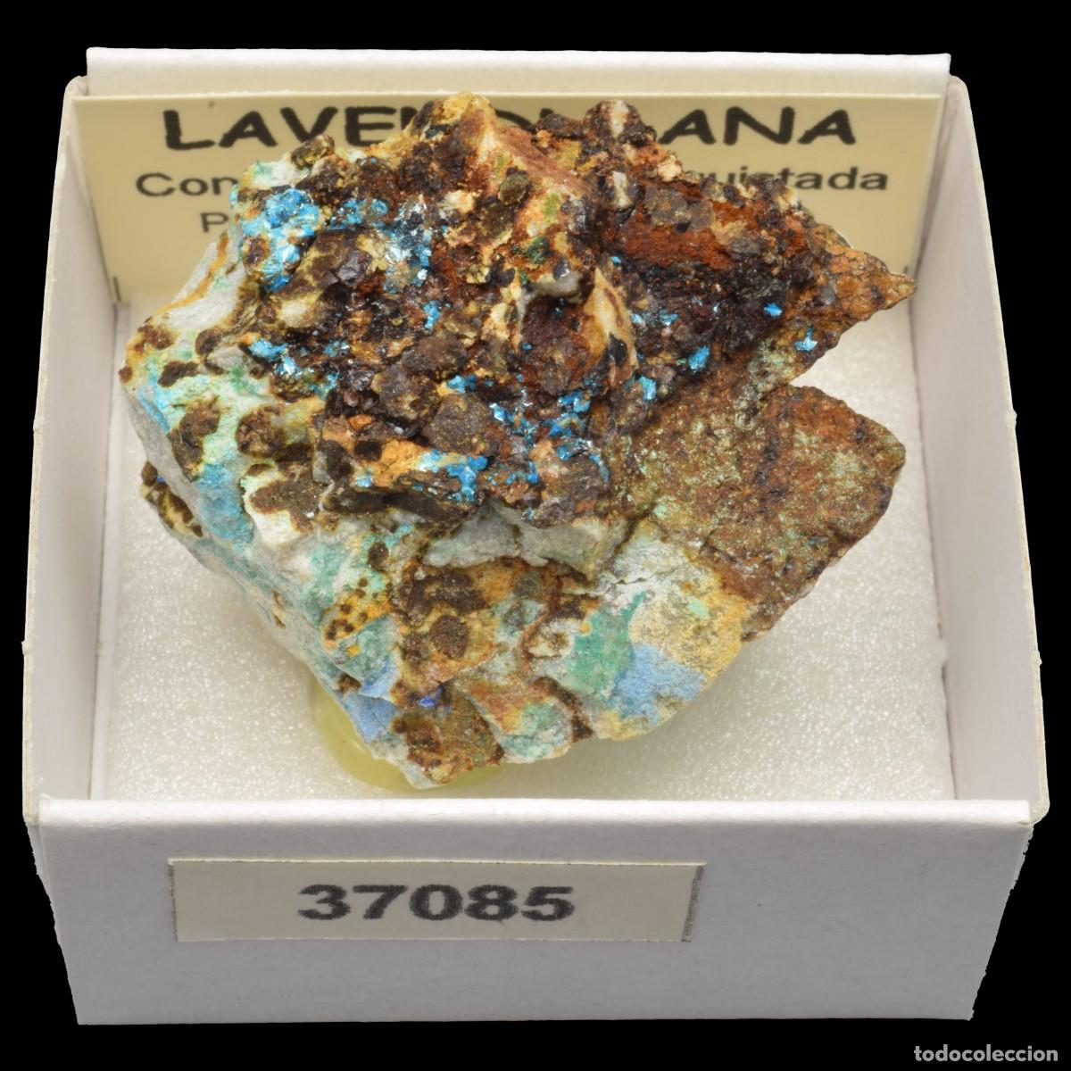Coleccionismo de minerales: LAVENDULANA (Concesion La Reconquistada, Pastrana, Mazarron, Murcia, Espa&ntilde;a) #37085