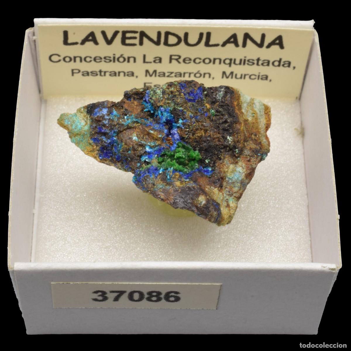 Coleccionismo de minerales: LAVENDULANA (Concesion La Reconquistada, Pastrana, Mazarron, Murcia, Espa&ntilde;a) #37086