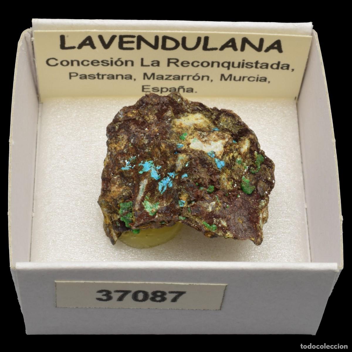 Coleccionismo de minerales: LAVENDULANA (Concesion La Reconquistada, Pastrana, Mazarron, Murcia, Espa&ntilde;a) #37087