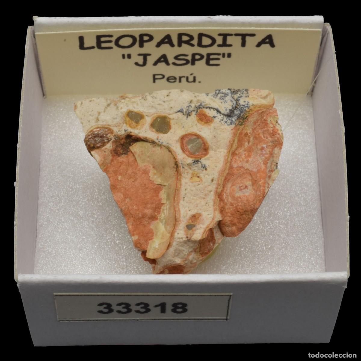 Coleccionismo de minerales: LEOPARDITA &rdquo;Jaspe leopardita&rdquo; (Peru) #33318
