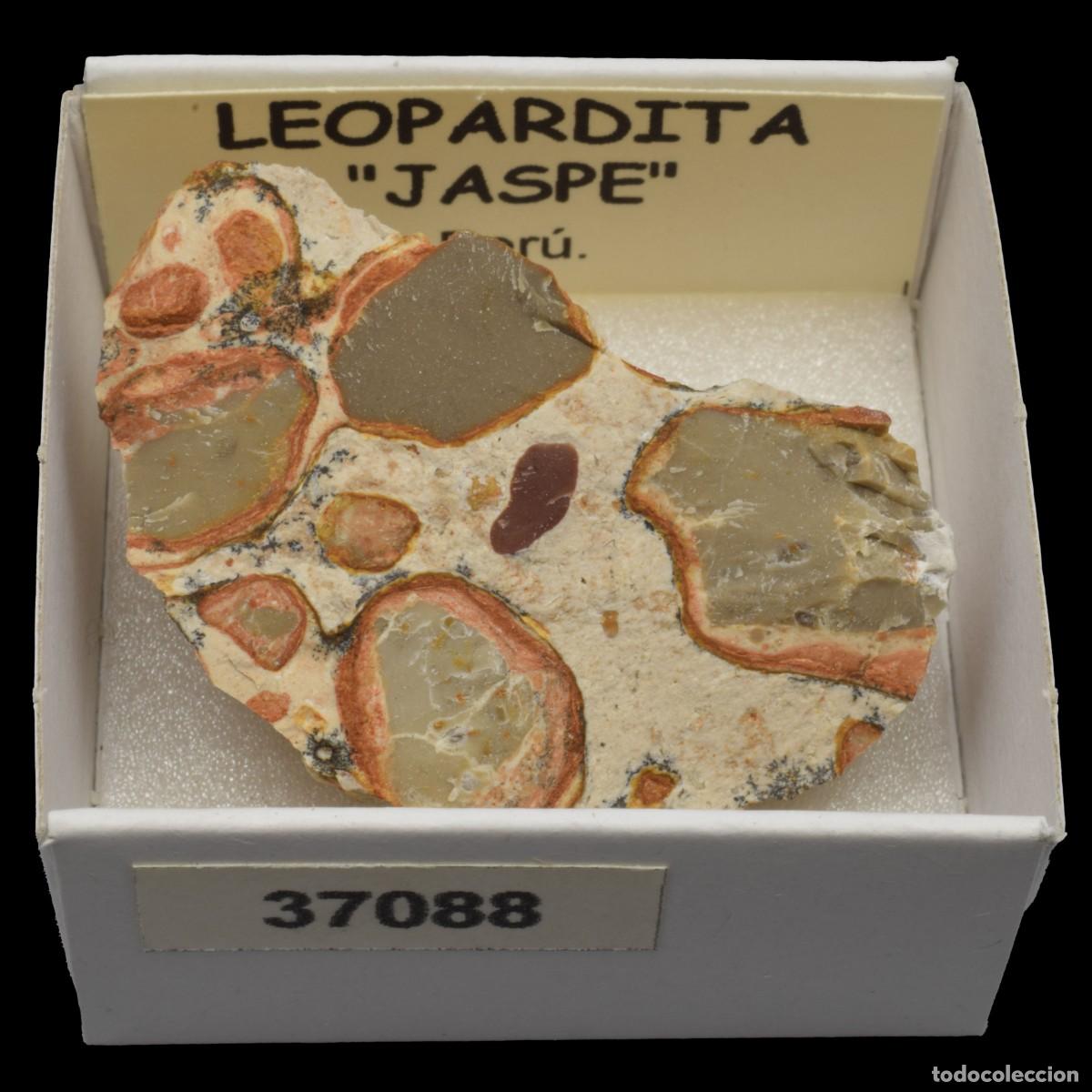 Coleccionismo de minerales: LEOPARDITA &rdquo;Jaspe leopardita&rdquo; (Peru) #37088