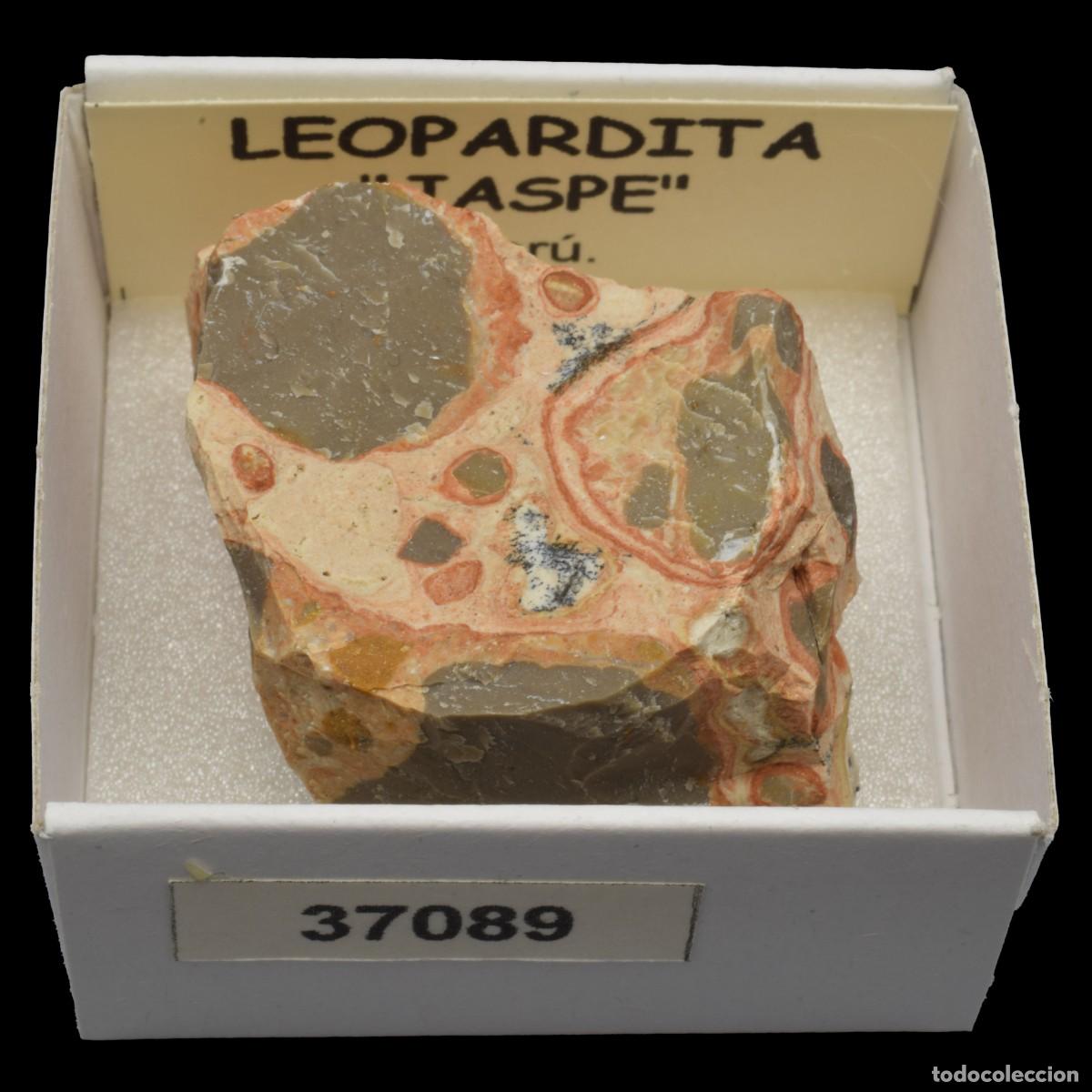 Coleccionismo de minerales: LEOPARDITA &rdquo;Jaspe leopardita&rdquo; (Peru) #37089