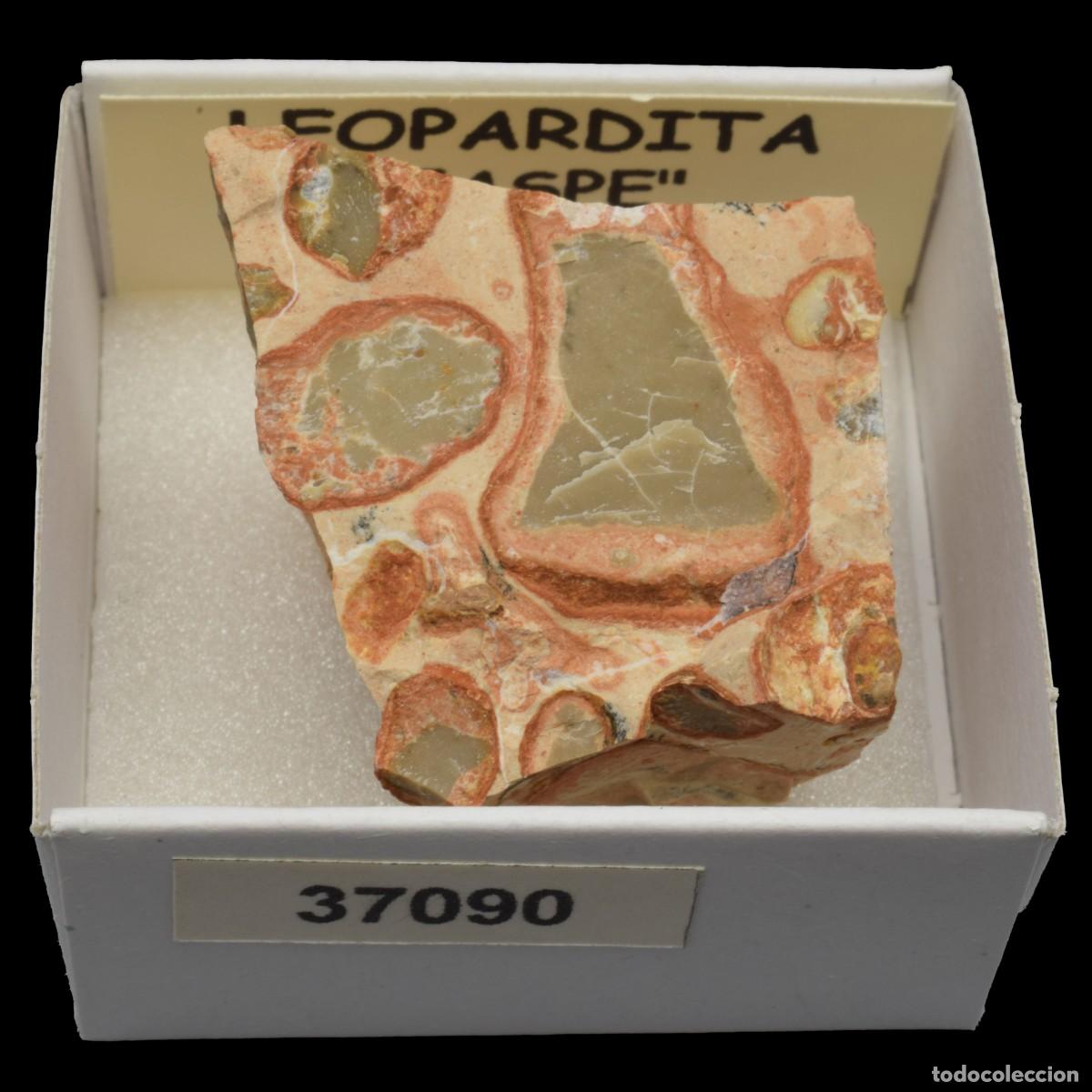 Coleccionismo de minerales: LEOPARDITA &rdquo;Jaspe leopardita&rdquo; (Peru) #37090