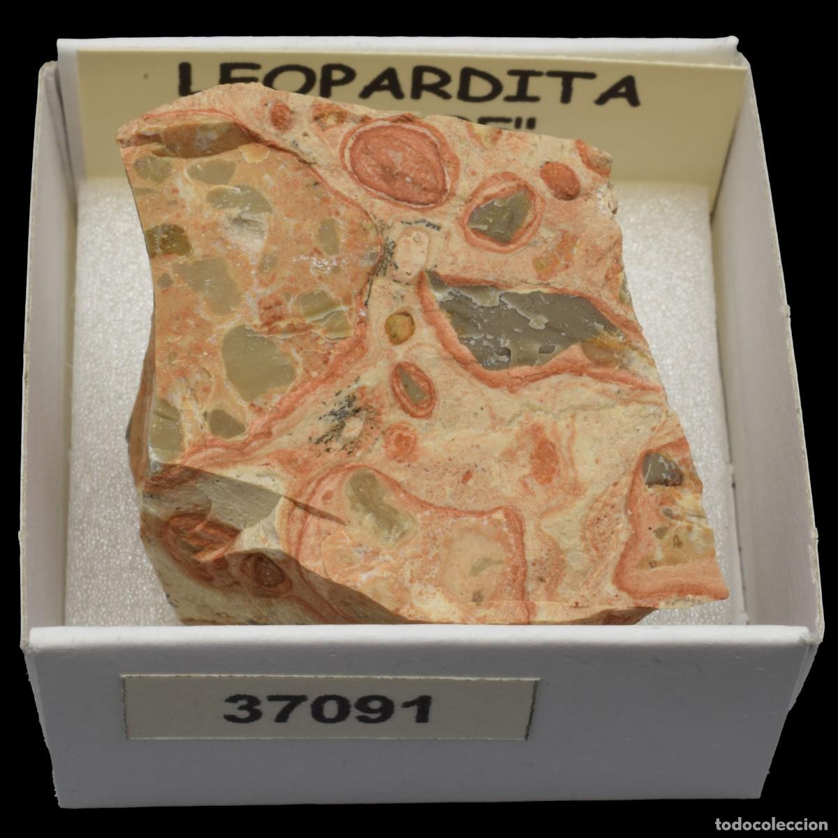 Coleccionismo de minerales: LEOPARDITA &rdquo;Jaspe leopardita&rdquo; (Peru) #37091