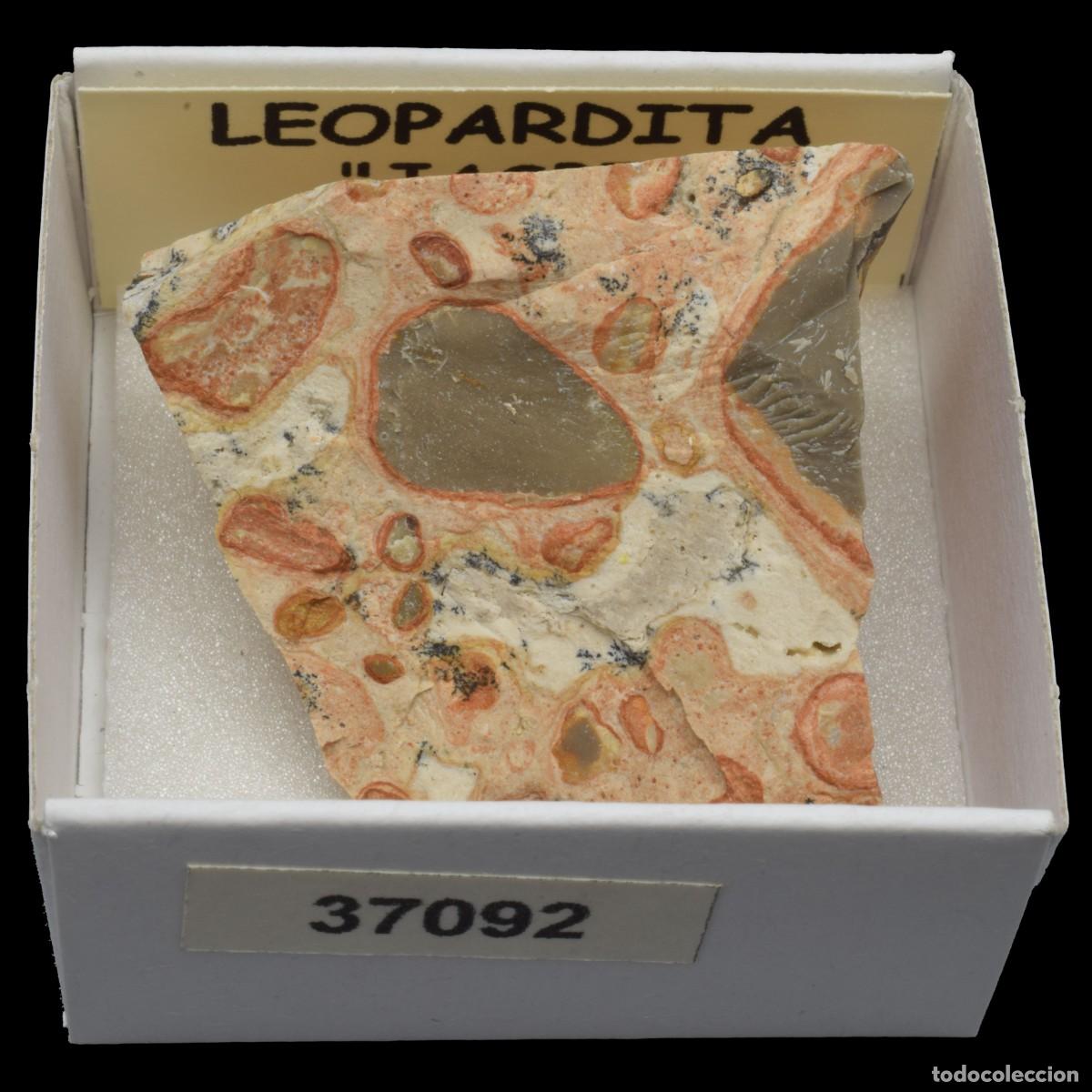 Coleccionismo de minerales: LEOPARDITA &rdquo;Jaspe leopardita&rdquo; (Peru) #37092