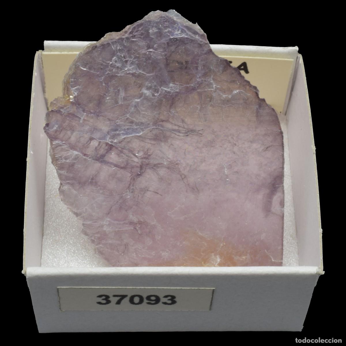Mineral collecting: LEPIDOLITA (Ara&ccedil;uai, Minas Gerais, Brasil) #37093