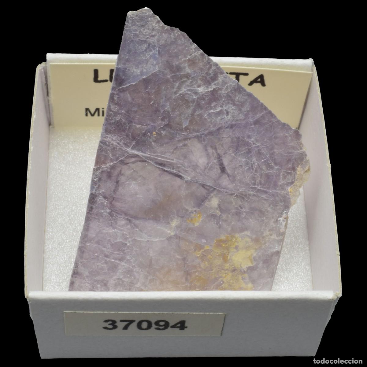 Mineral collecting: LEPIDOLITA (Ara&ccedil;uai, Minas Gerais, Brasil) #37094