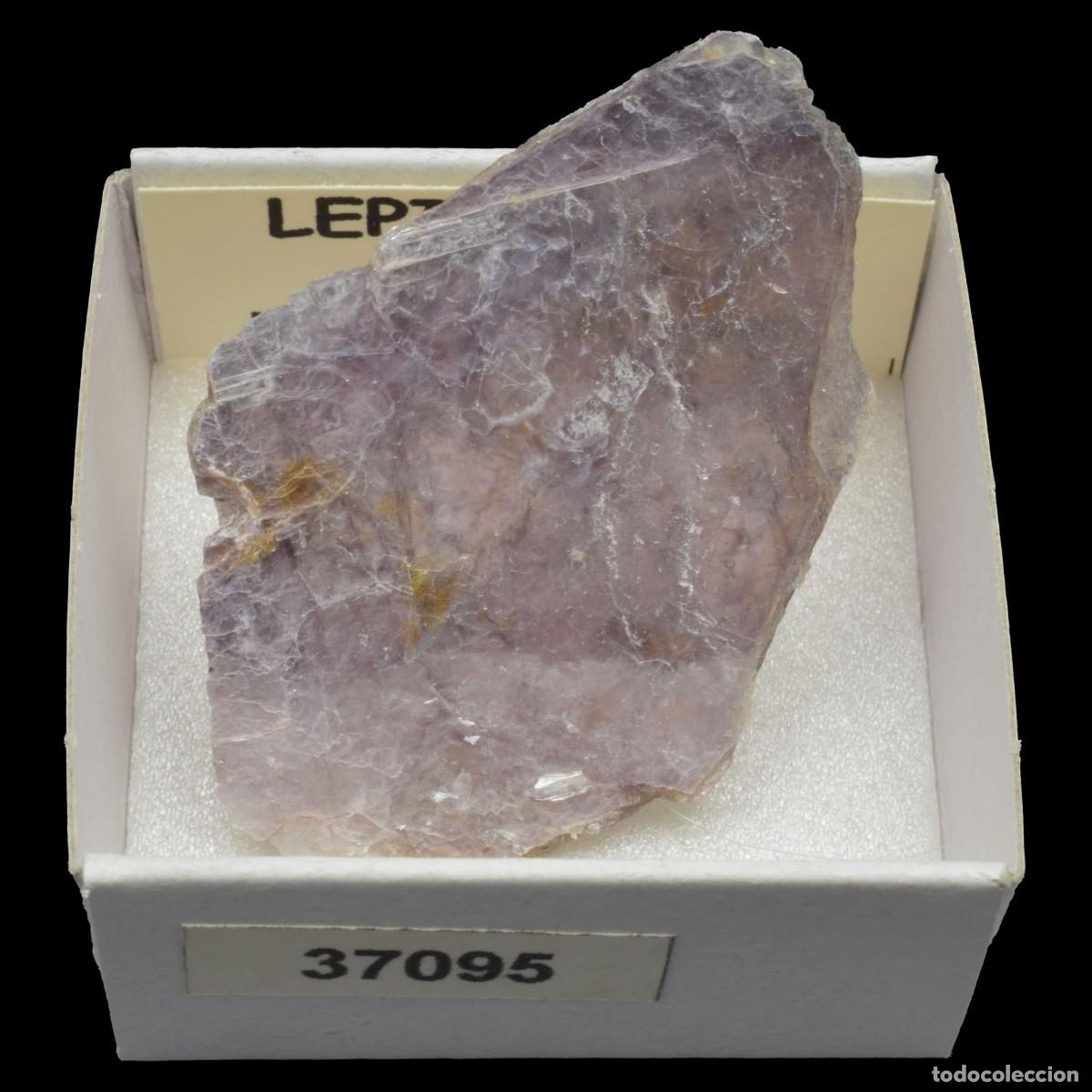 Mineral collecting: LEPIDOLITA (Ara&ccedil;uai, Minas Gerais, Brasil) #37095