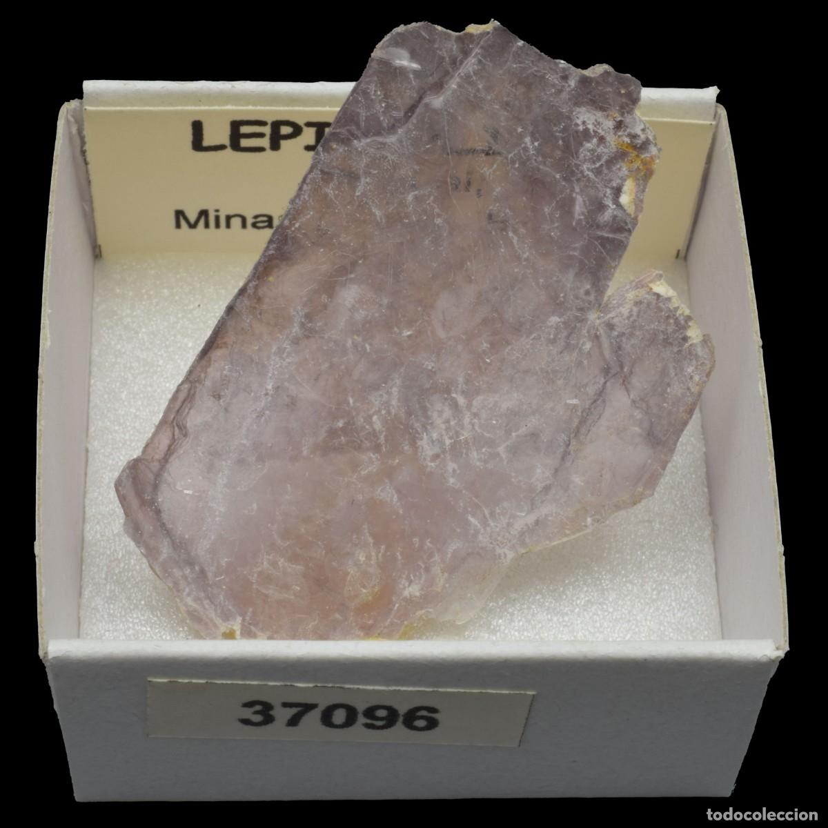Mineral collecting: LEPIDOLITA (Ara&ccedil;uai, Minas Gerais, Brasil) #37096