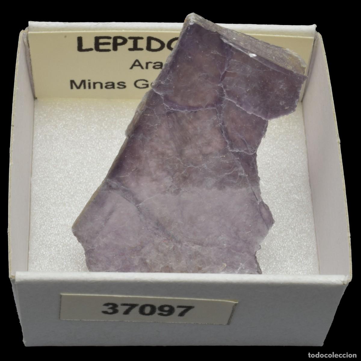Mineral collecting: LEPIDOLITA (Ara&ccedil;uai, Minas Gerais, Brasil) #37097