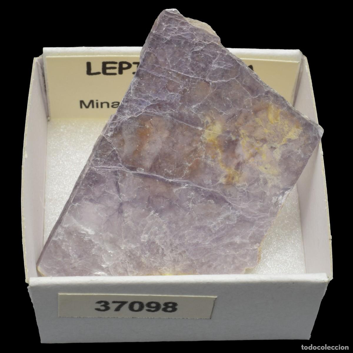 Coleccionismo de minerales: LEPIDOLITA (Ara&ccedil;uai, Minas Gerais, Brasil) #37098