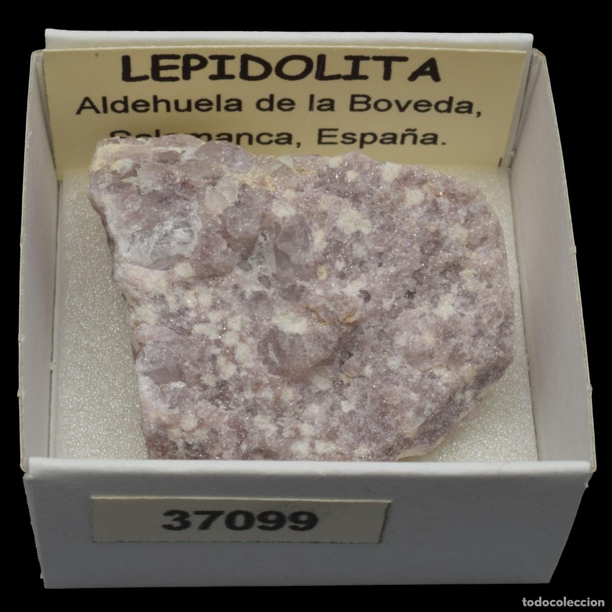 Coleccionismo de minerales: LEPIDOLITA (Aldehuela de la Boveda, Salamanca, Espa&ntilde;a) #37099