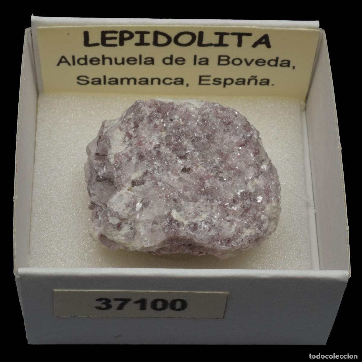 Coleccionismo de minerales: LEPIDOLITA (Aldehuela de la Boveda, Salamanca, Espa&ntilde;a) #37100